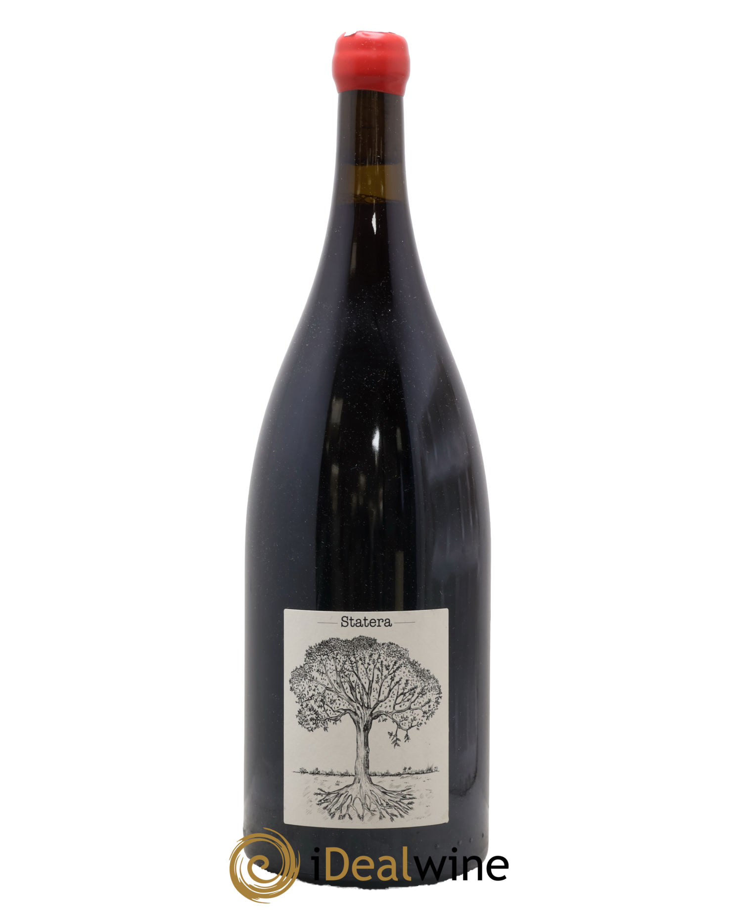 Vin de France Statera Jérôme Bretaudeau - Domaine de Bellevue 2020 - Lot de 1 magnum - 0