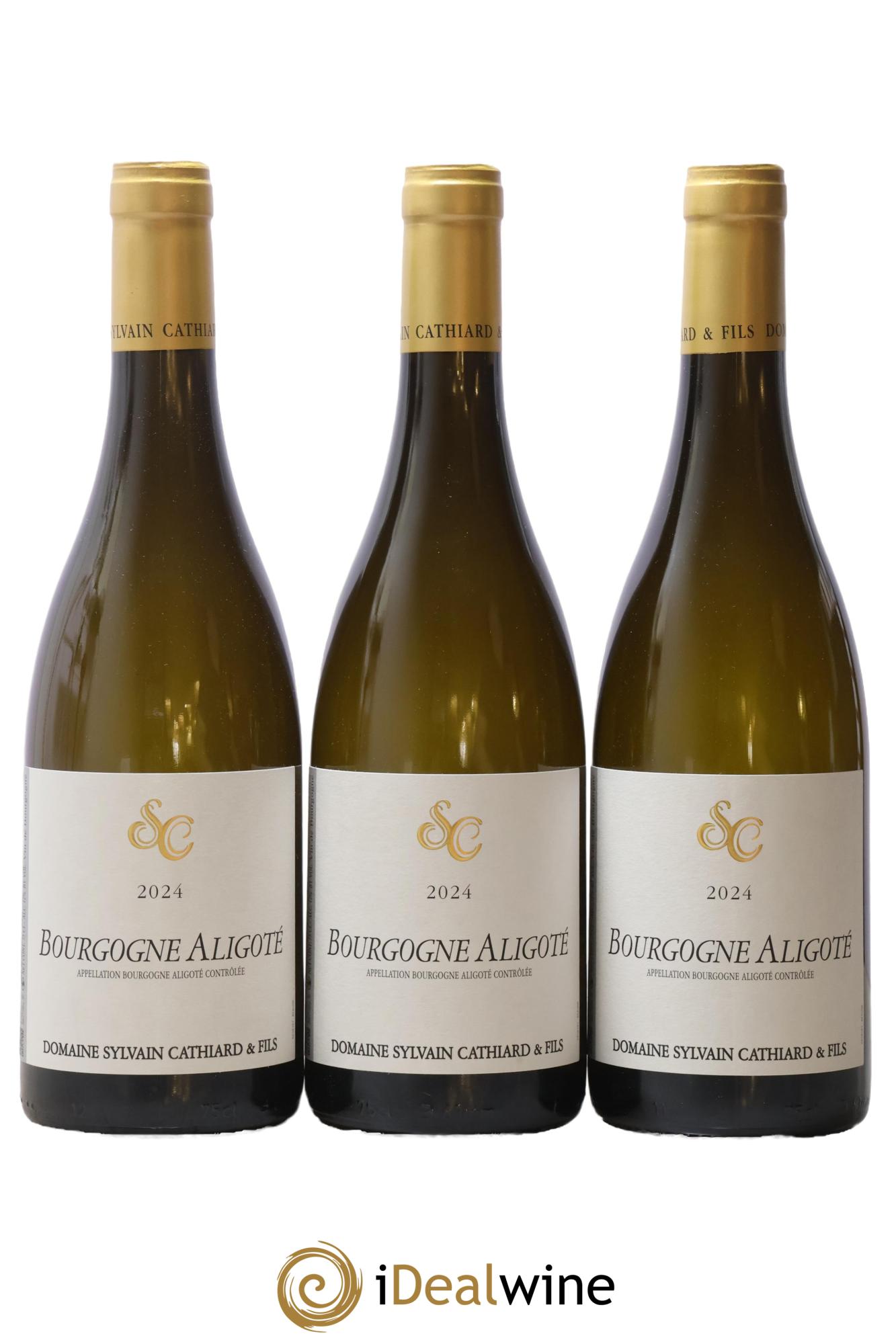 Bourgogne Aligoté Sylvain Cathiard & Fils 2024 - Lot of 3 bottles - 0