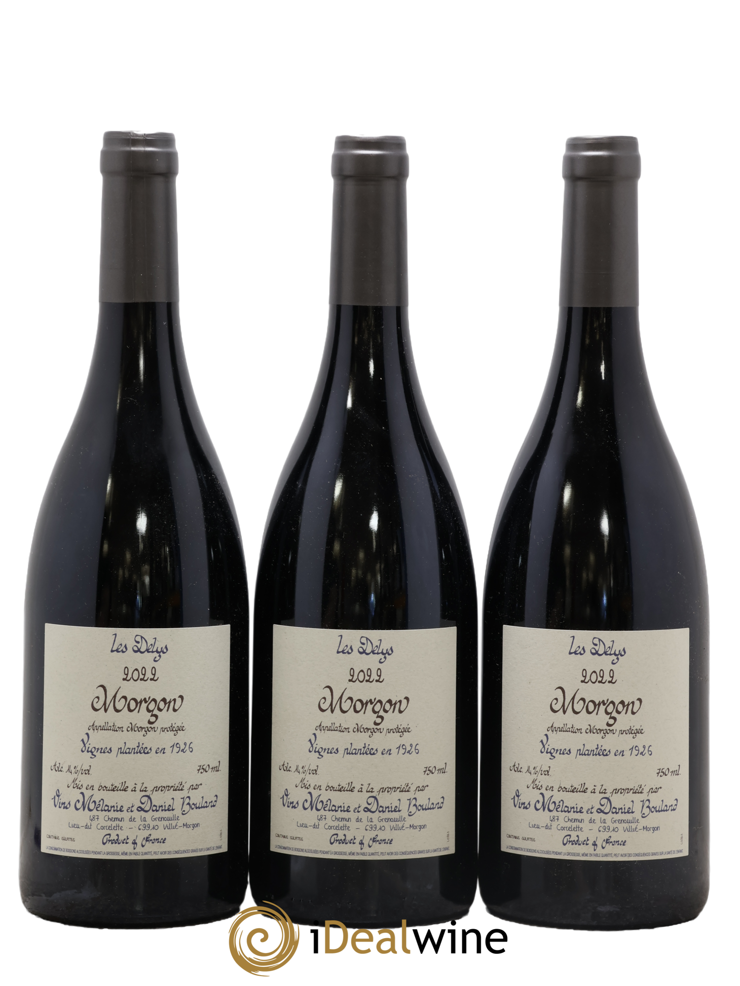 Morgon Les Delys Vielles Vignes de 1926 Daniel Bouland (Domaine) 2022 - Lot of 3 bottles - 0