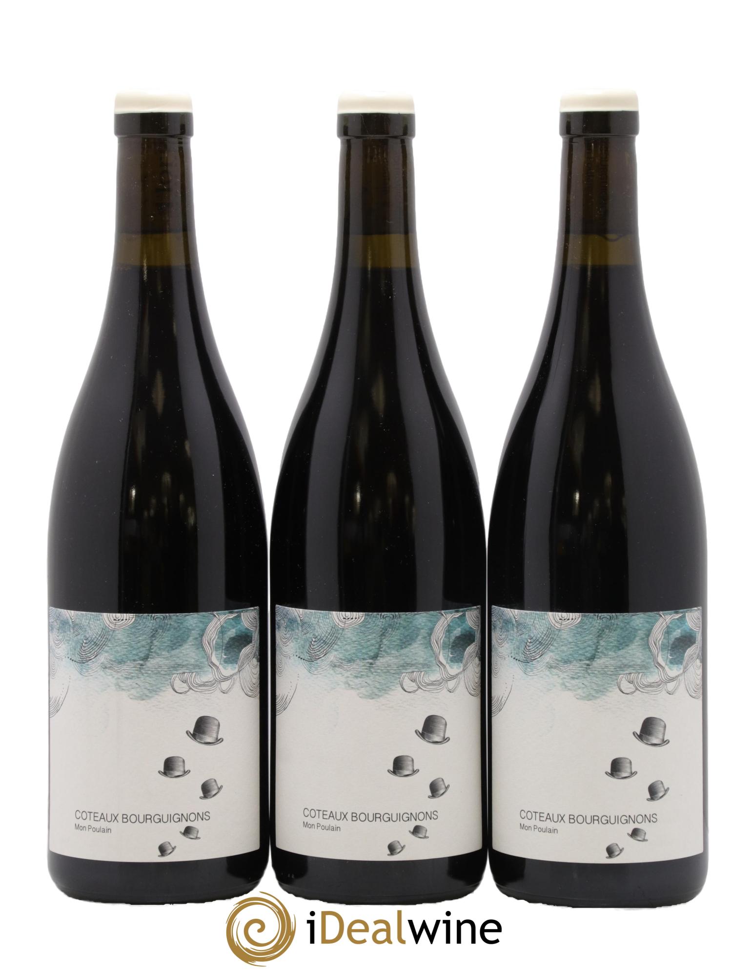 Coteaux Bourguignons Mon Poulain Les Horées 2024 - Lot de 3 bouteilles - 0