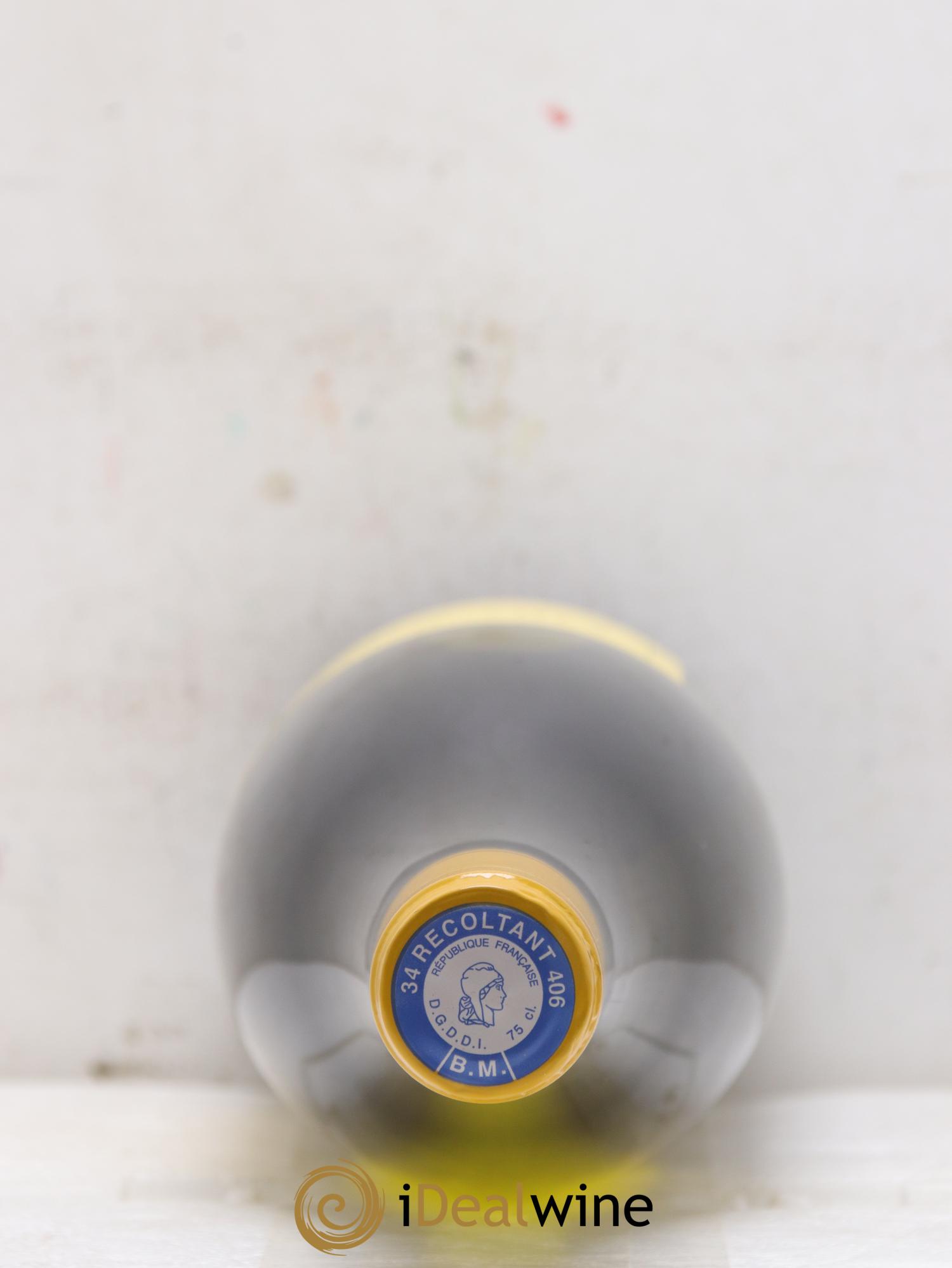 IGP Pays d'Hérault Grange des Pères Laurent Vaillé 2018 - Lotto di 1 bottiglia - 1