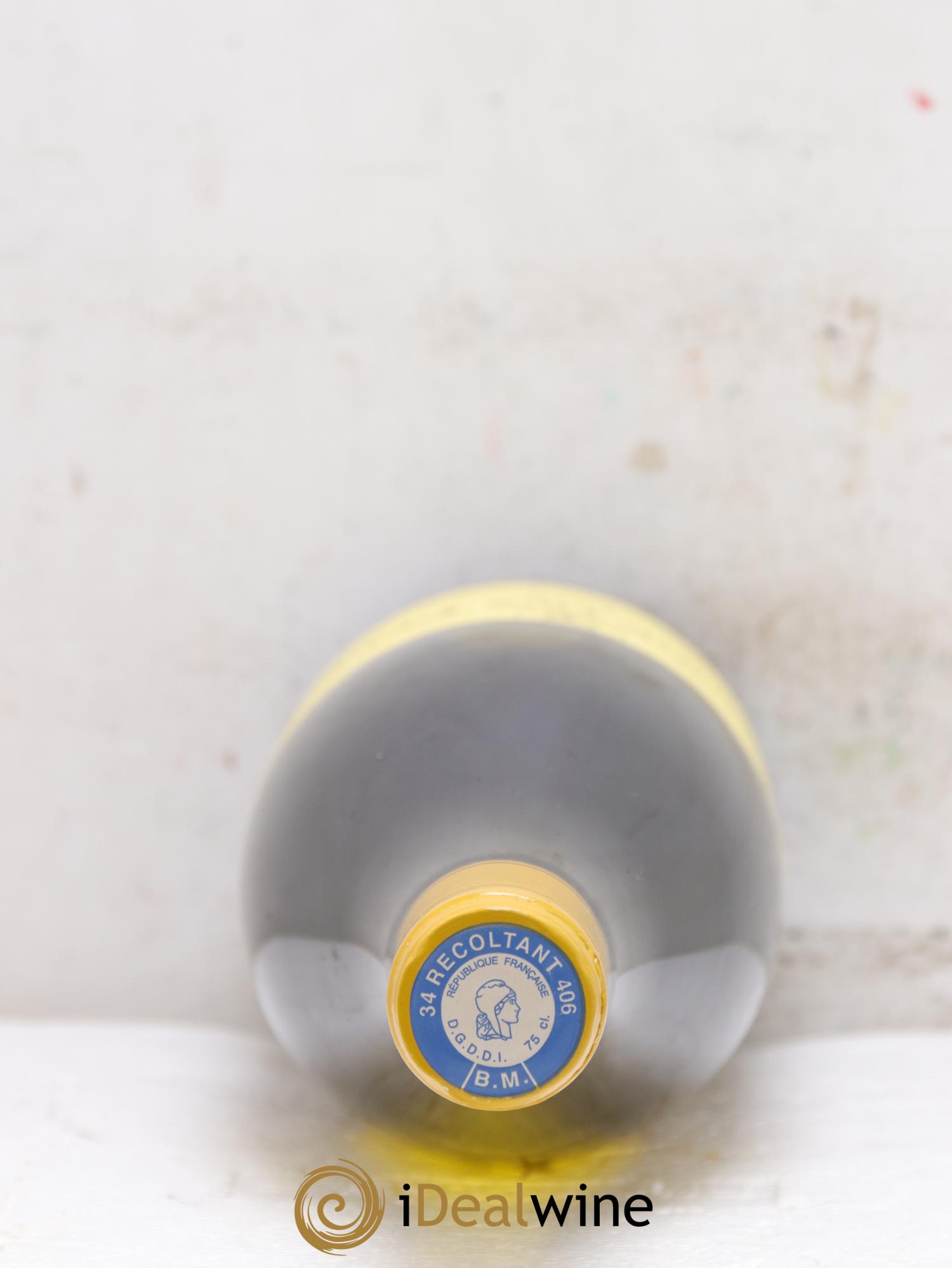 Pays d'Hérault Grange des Pères Laurent Vaillé 2016 - Lotto di 1 bottiglia - 1