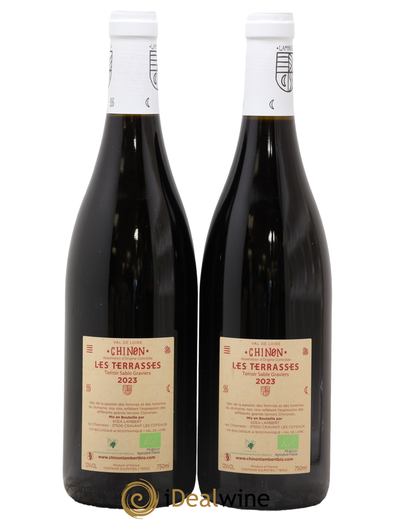 Chinon Les Terrasses Domaine Lambert 2023 - Posten von 2 Flaschen - 1