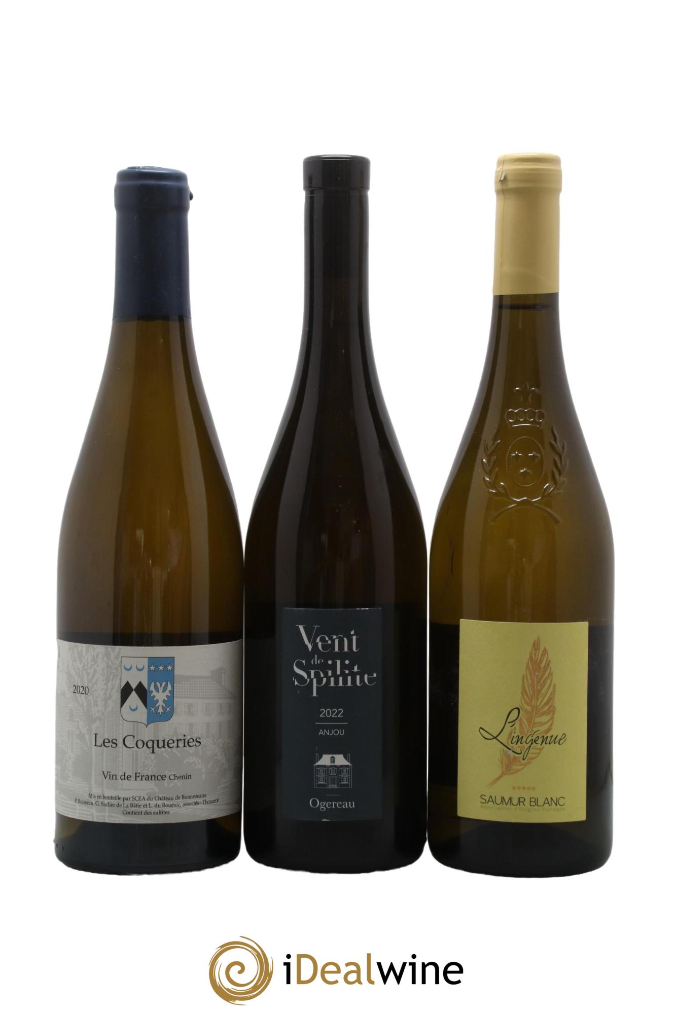 Assortiment de vins d'Anjou noir - Saumur - Bourgueil N°7 - Lot of 6 bottles - 2