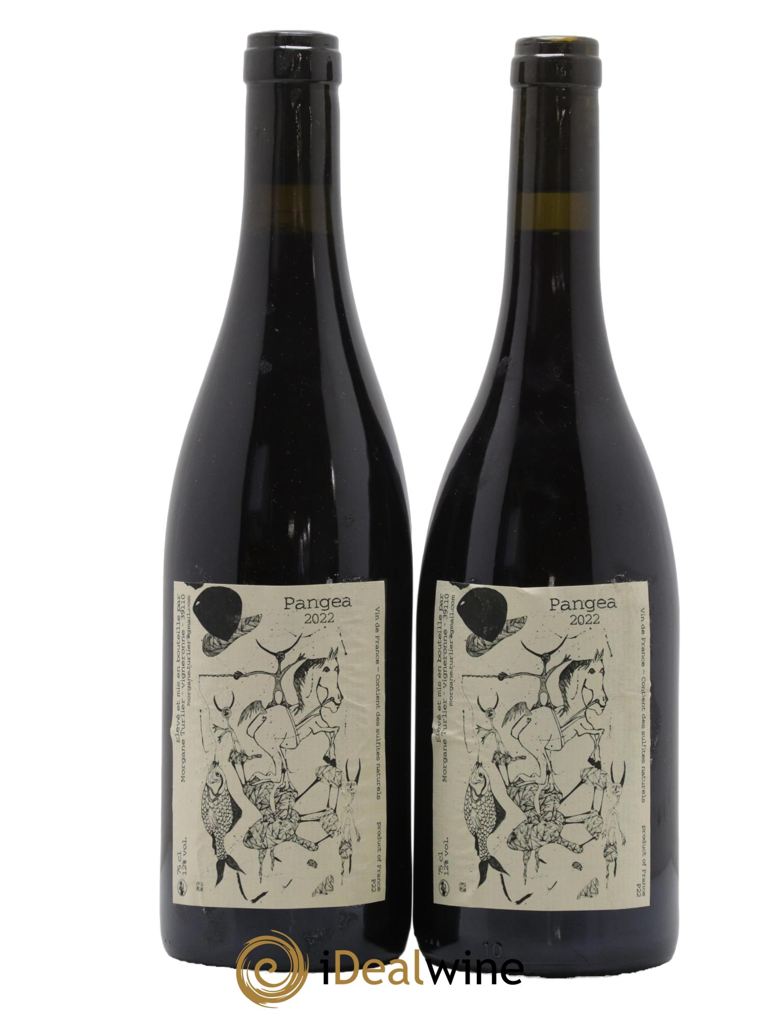 Vin de France Pangea Morgane Turlier 2022 - Lot de 2 bouteilles - 0