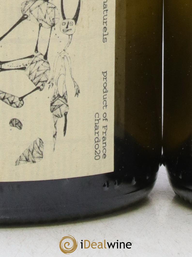 Vin de France Blanc de Chamoz Morgane Turlier 2020 - Lot de 2 bouteilles - 1