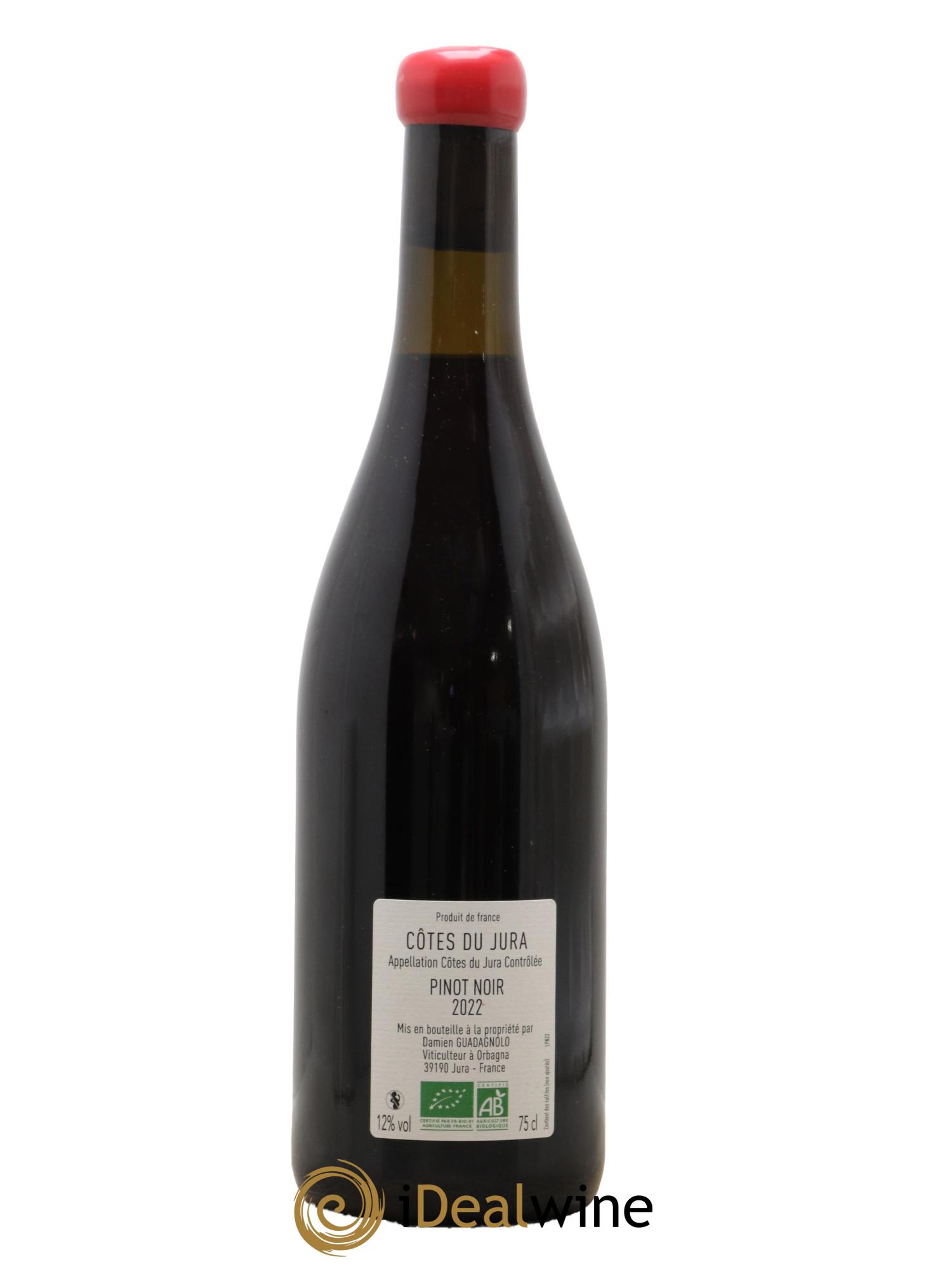 Côtes du Jura Pinot Noir Domaine Damien Guadagnolo 2022 - Lot de 1 bouteille - 1