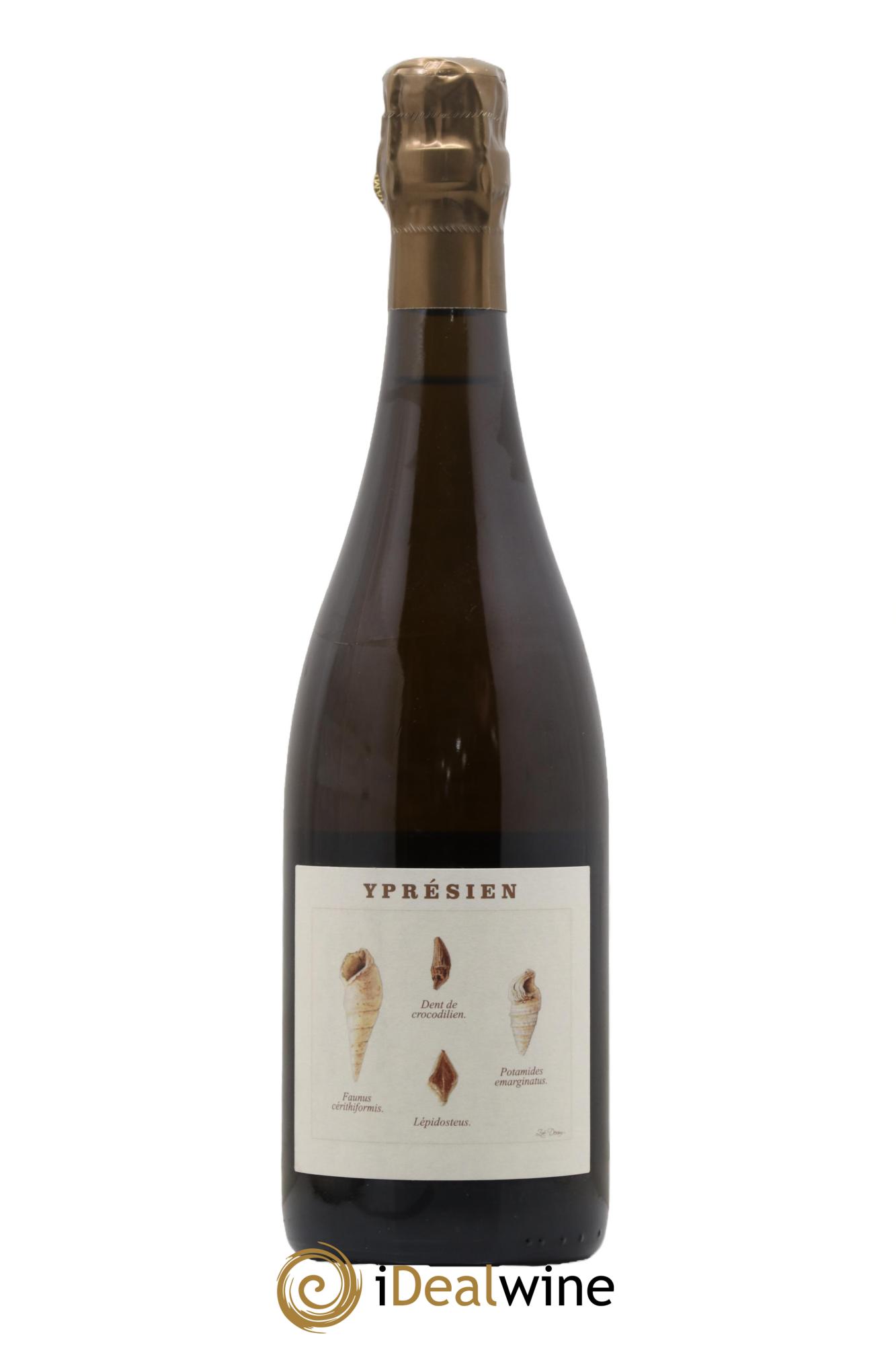 Yprésien Legrand Latour - Lot de 1 bouteille - 0