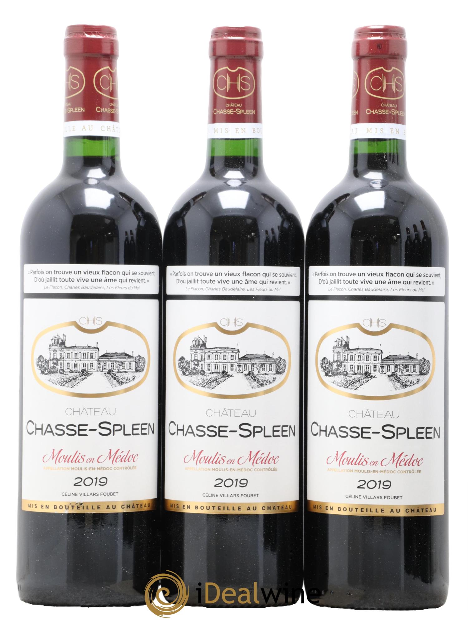 Château Chasse Spleen 2019 - Lot de 12 bouteilles - 3