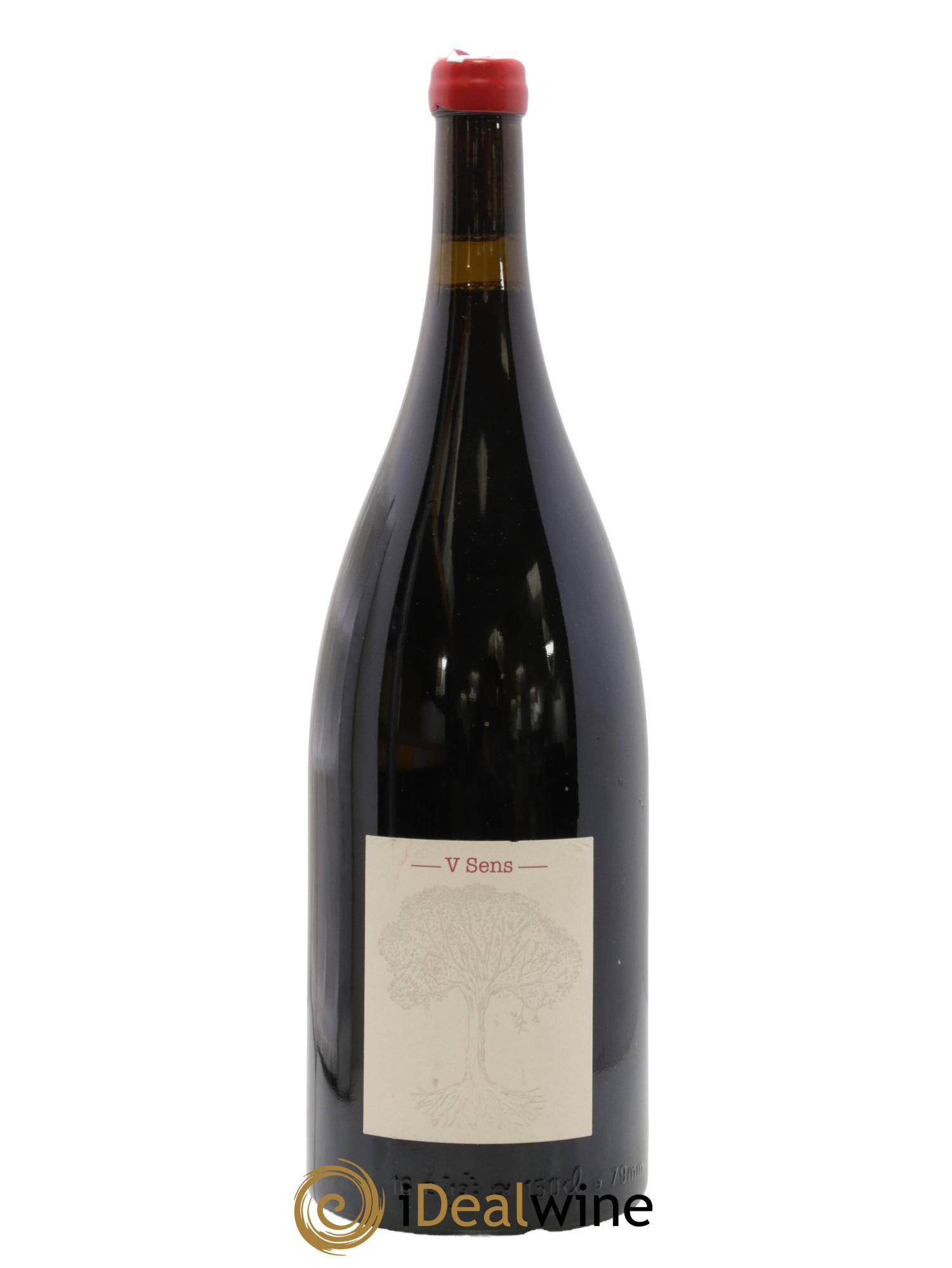 Vin de France V Sens Jérôme Bretaudeau - Domaine de Bellevue 2020 - Lot de 1 magnum - 0