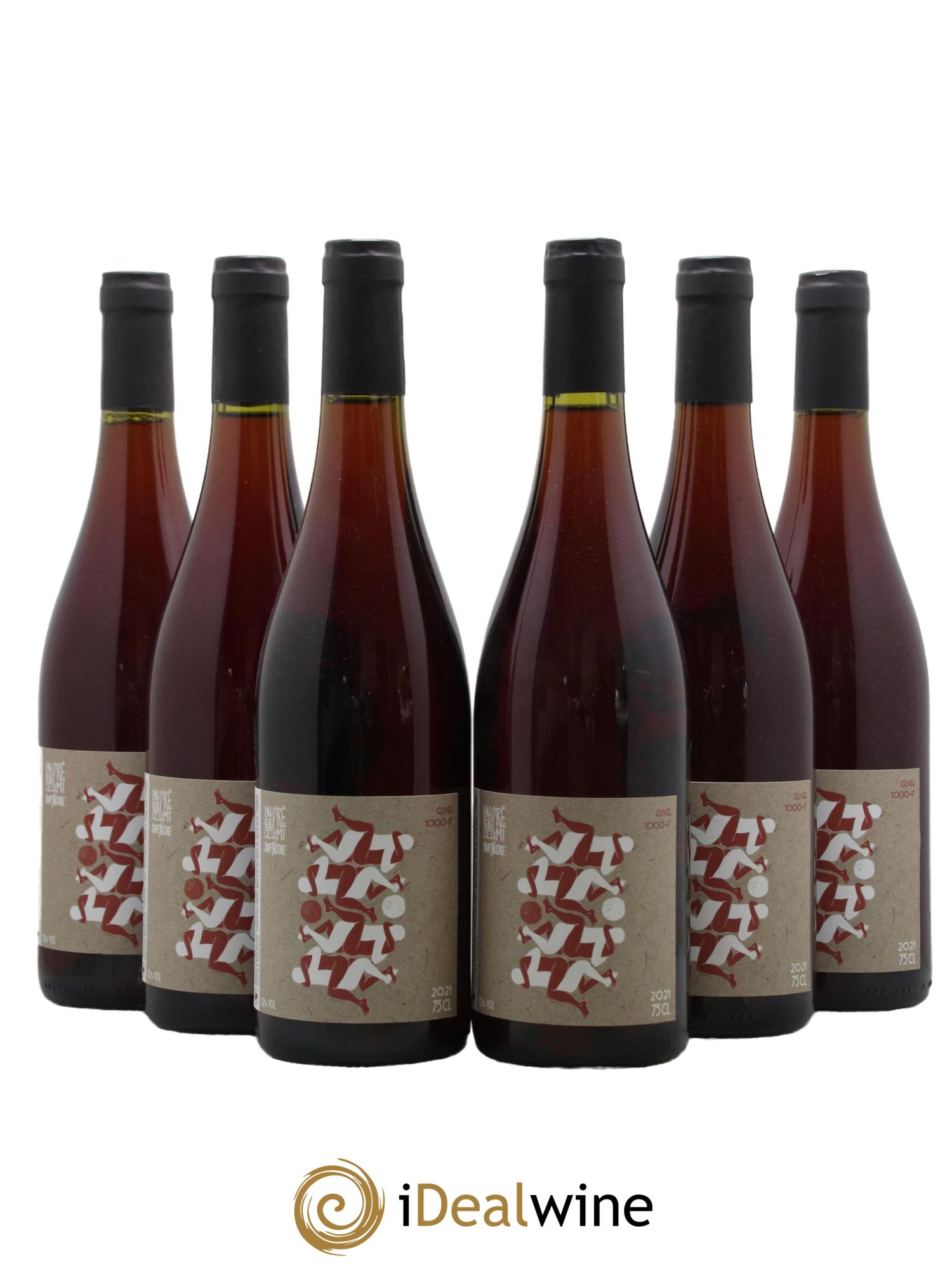Vin de France 1000 F Domaine Remi Dufaitre 2021 - Lot de 6 bouteilles - 0