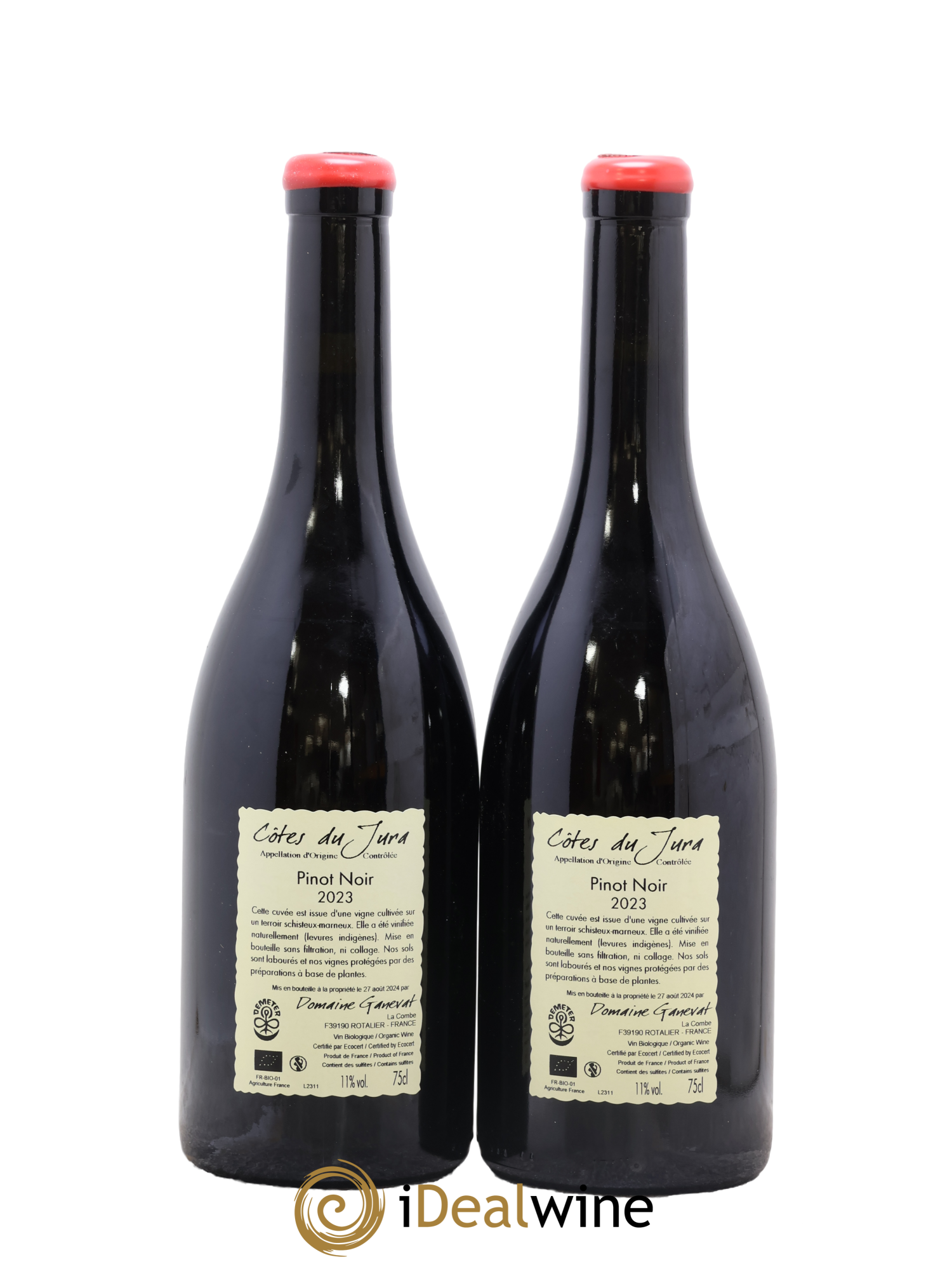 Côtes du Jura Pinot Noir En Billat  Jean-François Ganevat (Domaine) 2023 - Lot of 2 bottles - 1