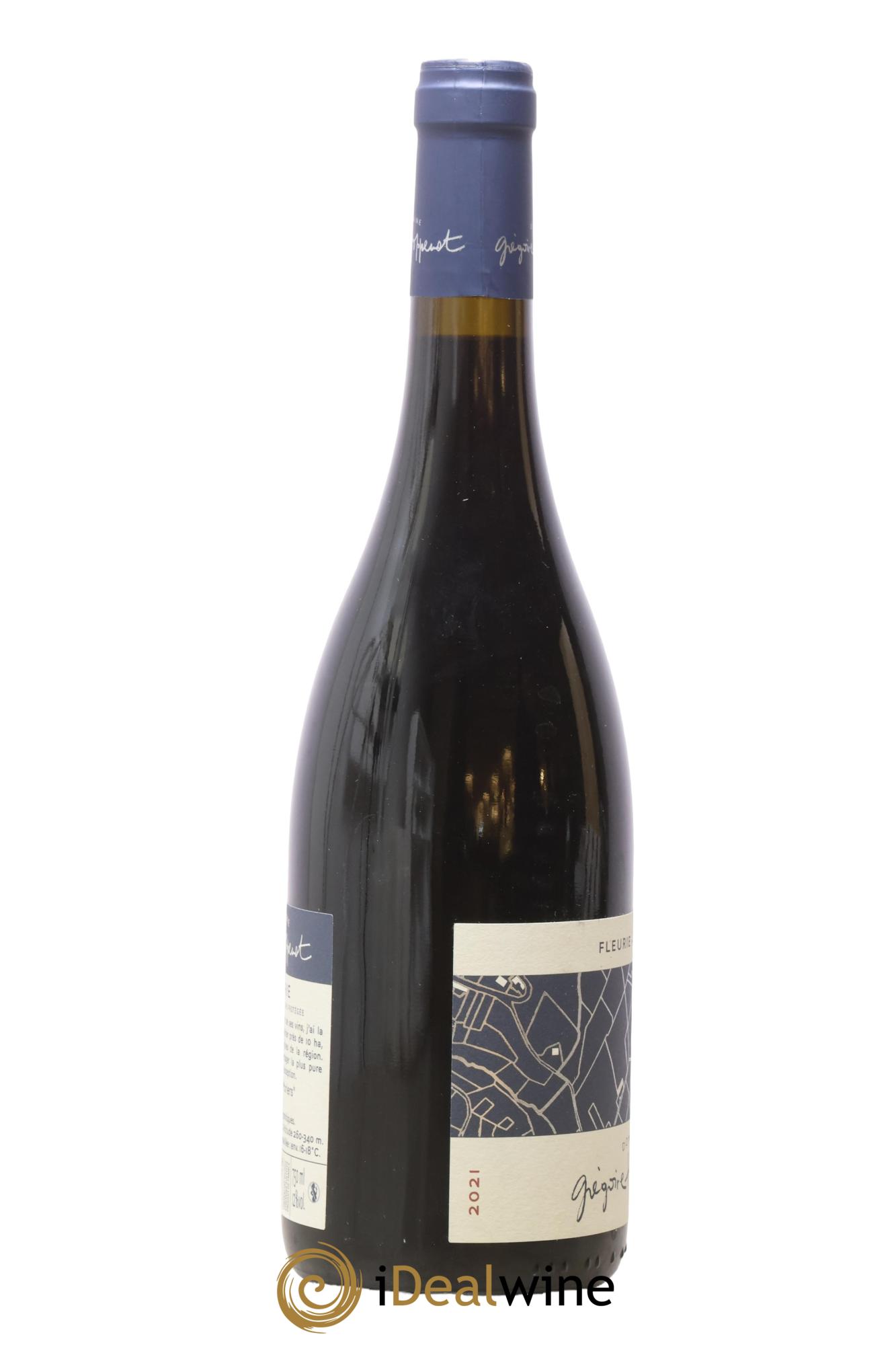 Fleurie Les Moriers Grégoire Hoppenot (Domaine) 2021 - Lot de 1 bouteille - 1