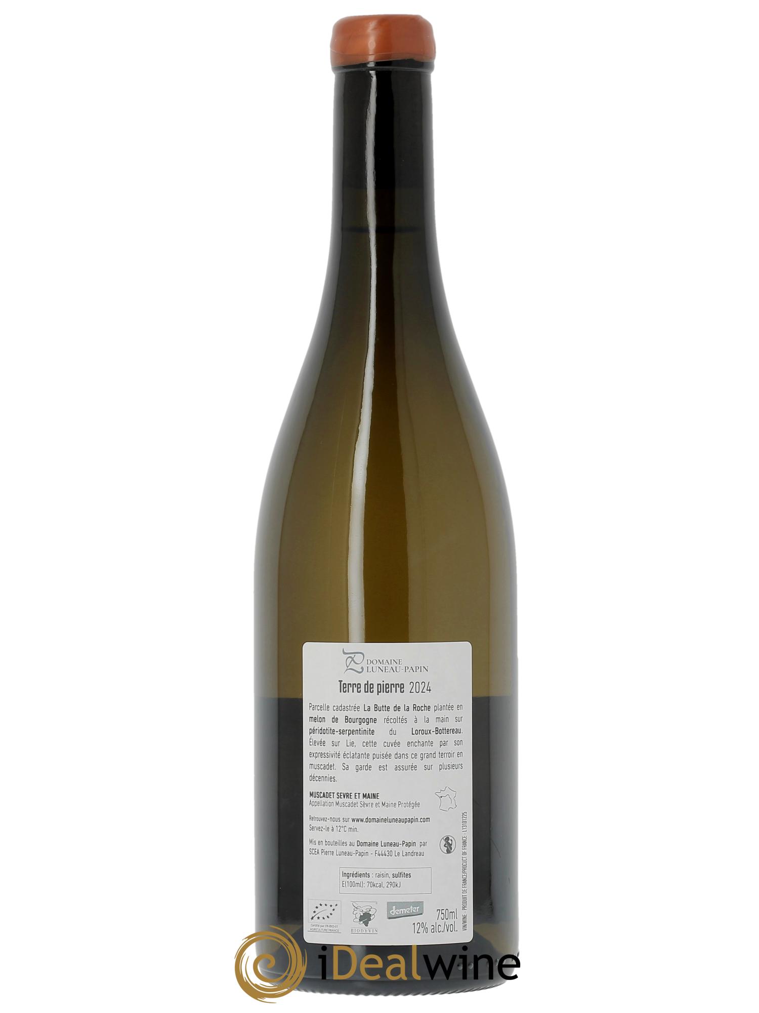 Muscadet-Sèvre-et-Maine sur lie Terre de Pierre Luneau-Papin  2024 - Lot of 1 bottle - 1