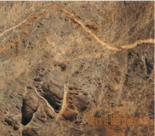 Etiquette du vin Muscadet-Sèvre-et-Maine sur lie Terre de Pierre Luneau-Papin 2016