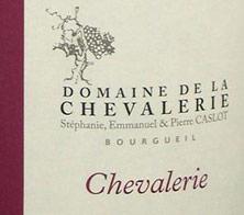 Etichetta Bourgueil Chevalerie Domaine de la Chevalerie 1996