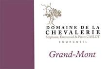 Etichetta Bourgueil Grand-Mont Domaine de la Chevalerie 2010