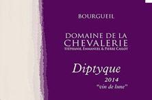 Etiquette du vin Bourgueil Dyptique Domaine de la Chevalerie 2014