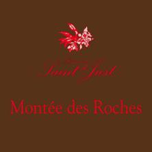 Etiquette du vin Saumur-Champigny Montée des Roches Domaine Saint-Just - Arnaud Lambert 2012