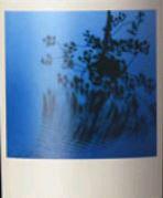 Etikette des Weins Santa Barbara Sine Qua Non Shatki Grenache Manfred Krankl 2014