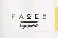 Etiquette du vin IGP Côtes Catalanes Face B  Engrenaches 2016