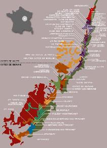 Etikette des Weins Ruchottes-Chambertin Grand Cru 1998