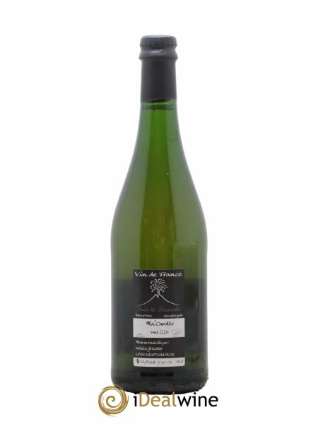 L'Arbre Blanc 2020 ラルブル・ブラン マ・カロット CATEGORY L'ARBRE