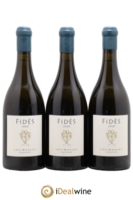 Savennières Fidès Eric Morgat