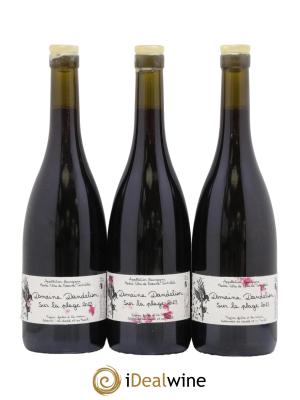 Hautes-Côtes de Beaune Sur la Plage Dandelion (Domaine)