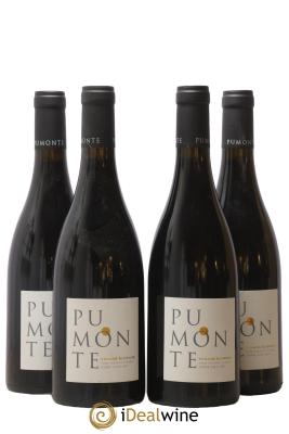 Vin de Corse Calvi Pumonte Domaine Alzipratu