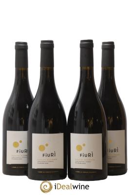 Vin de Corse Calvi Fiuri Domaine Alzipratu