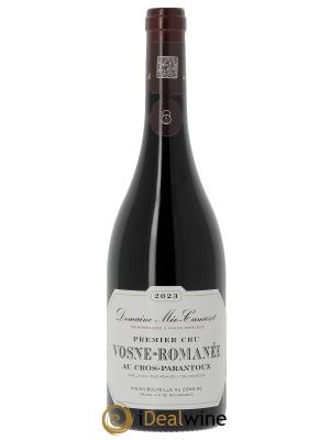 Vosne-Romanée 1er Cru Au Cros Parantoux Méo-Camuzet (Domaine)