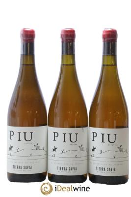 Espagne Piu Anfora Tierra Savia