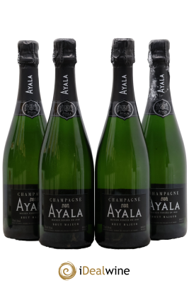 Majeur Brut Ayala 