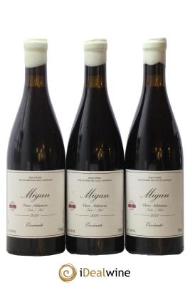 Vinos Atlanticos - Islas Canarias Migan Envinate