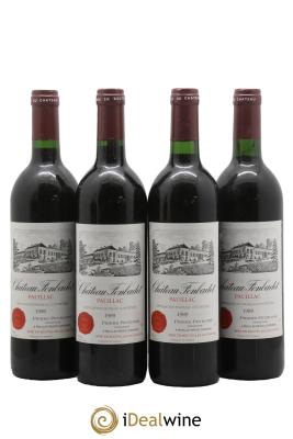 Château Fonbadet