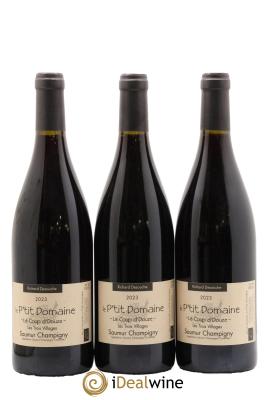 Saumur-Champigny Le Coup d'Douze Le P'tit Domaine