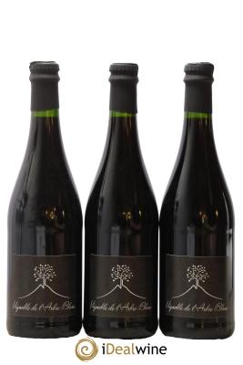 Vin de France Les Orgues Vignoble de l'Arbre Blanc 