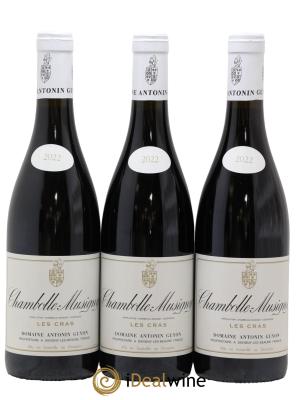 Chambolle-Musigny Les Cras Antonin Guyon