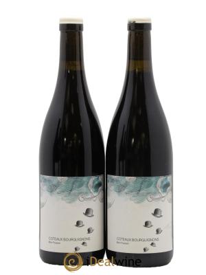 Coteaux Bourguignons Mon Poulain Les Horées