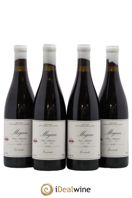 Vinos Atlanticos - Islas Canarias Migan Envinate