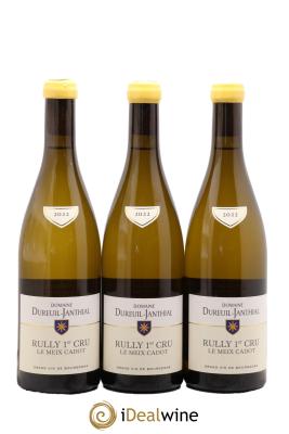 Rully 1er Cru Le Meix Cadot Vincent Dureuil-Janthial