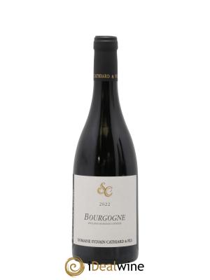 Bourgogne Sylvain Cathiard & Fils
