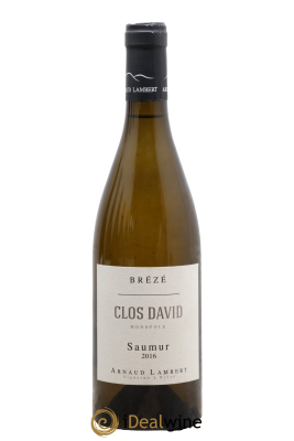 Saumur Brézé Clos David Arnaud Lambert