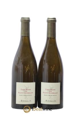 Pouilly-Fumé Les Bois de Saint-Andelain Michel Redde & Fils