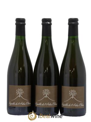 Vin de France Les Fesses Vignoble de l'Arbre Blanc