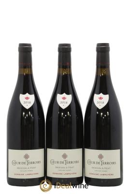 Moulin à Vent Coeur de Terroirs Vieilles Vignes Domaine Labruyère