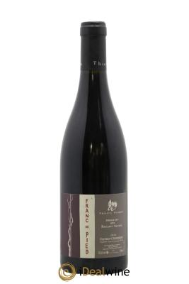 Saumur-Champigny Franc de pied Domaine des Roches Neuves - Thierry Germain