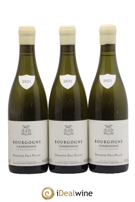 Bourgogne Paul Pillot (Domaine)