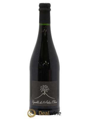 Vin de France Les Orgues Vignoble de l'Arbre Blanc